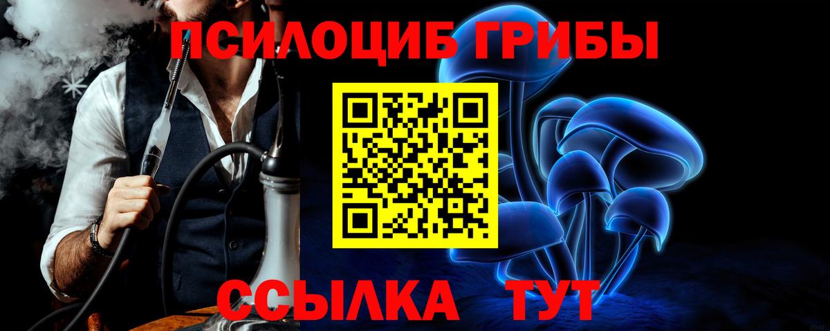 Михайловск  Галлюциногенные грибы MAGIC MUSHROOMS  Вход с VPN  Псилоцибиновые грибы мицелий 