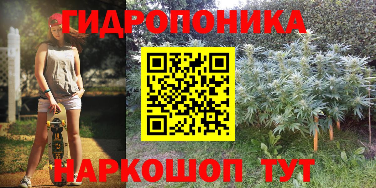 МАРИХУАНА сатива Михайловск
